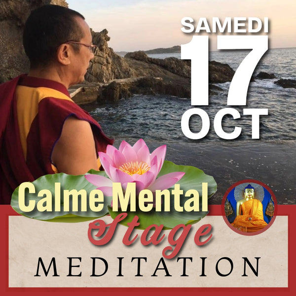 MEDITATION & EMOTIONS 17-18 Oct | Stages du Weekend | Enseignant Clément au Petit Nalanda