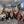 GUERANDE 20 Avril | Formation Méditation & Gestion des Emotions 10 Semaines | Enseignante Delphine